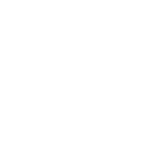 Point